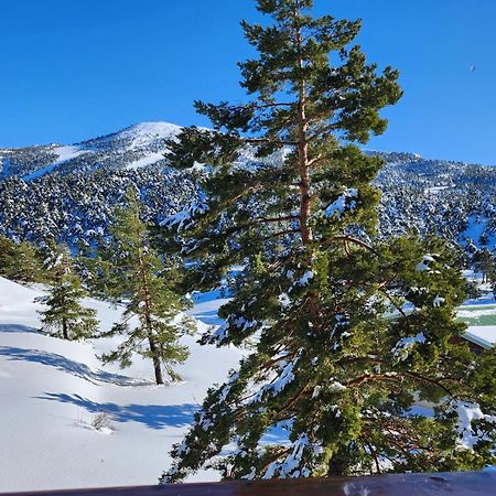 Greolieres Les Neiges Apartment ภายนอก รูปภาพ
