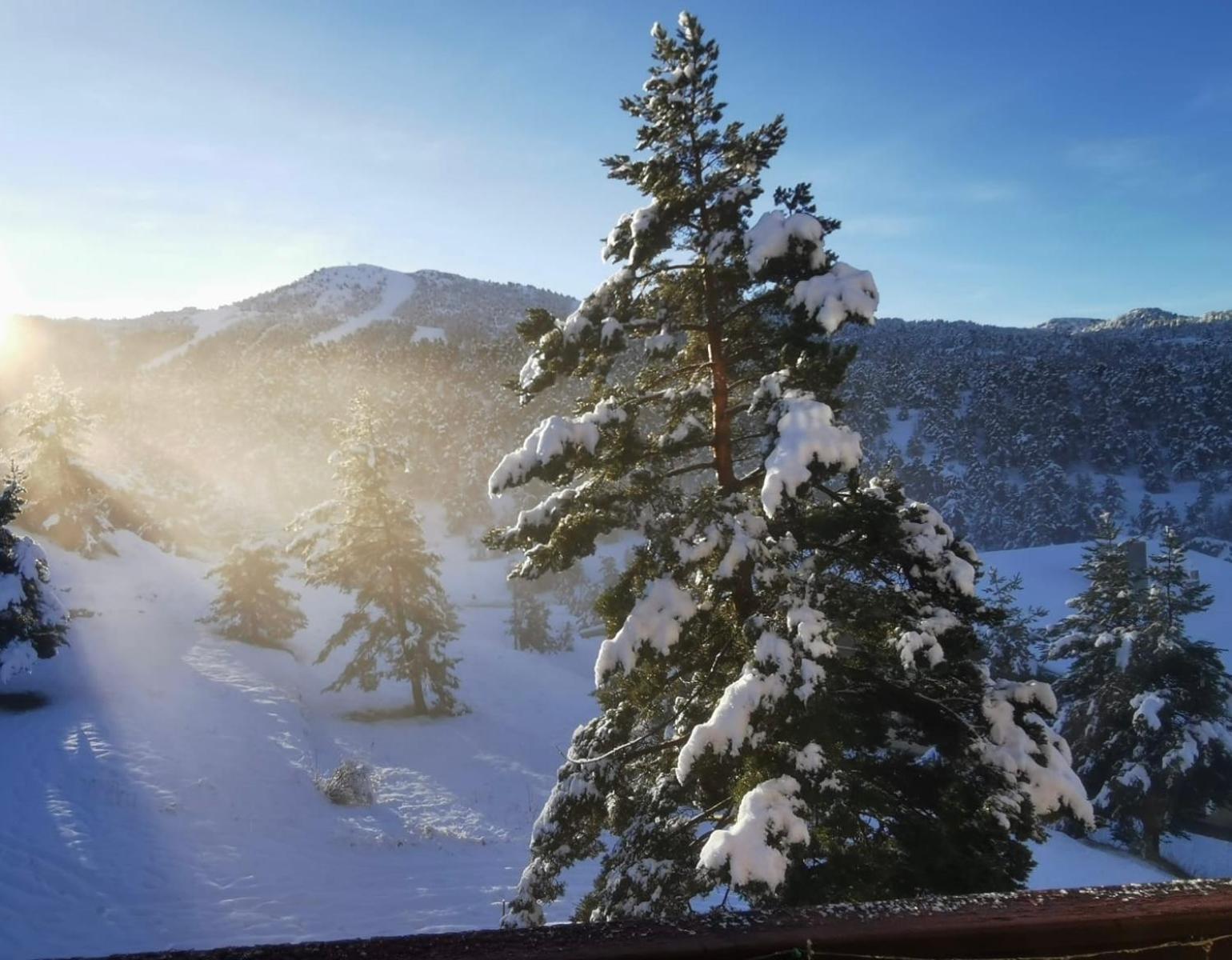 Greolieres Les Neiges Apartment ภายนอก รูปภาพ