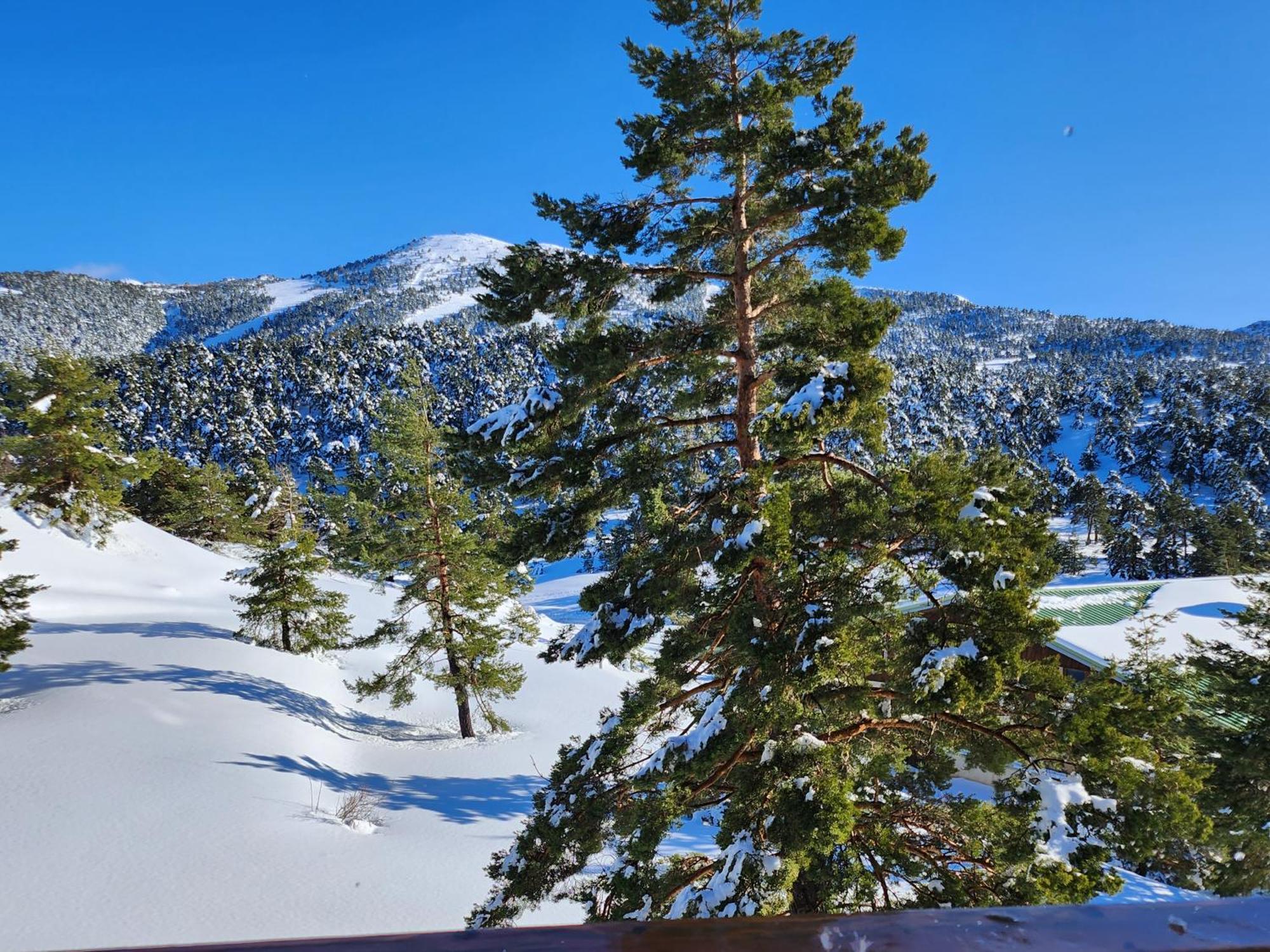 Greolieres Les Neiges Apartment ภายนอก รูปภาพ