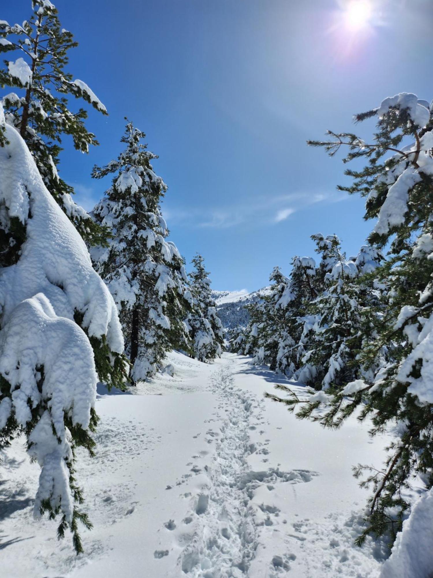 Greolieres Les Neiges Apartment ภายนอก รูปภาพ